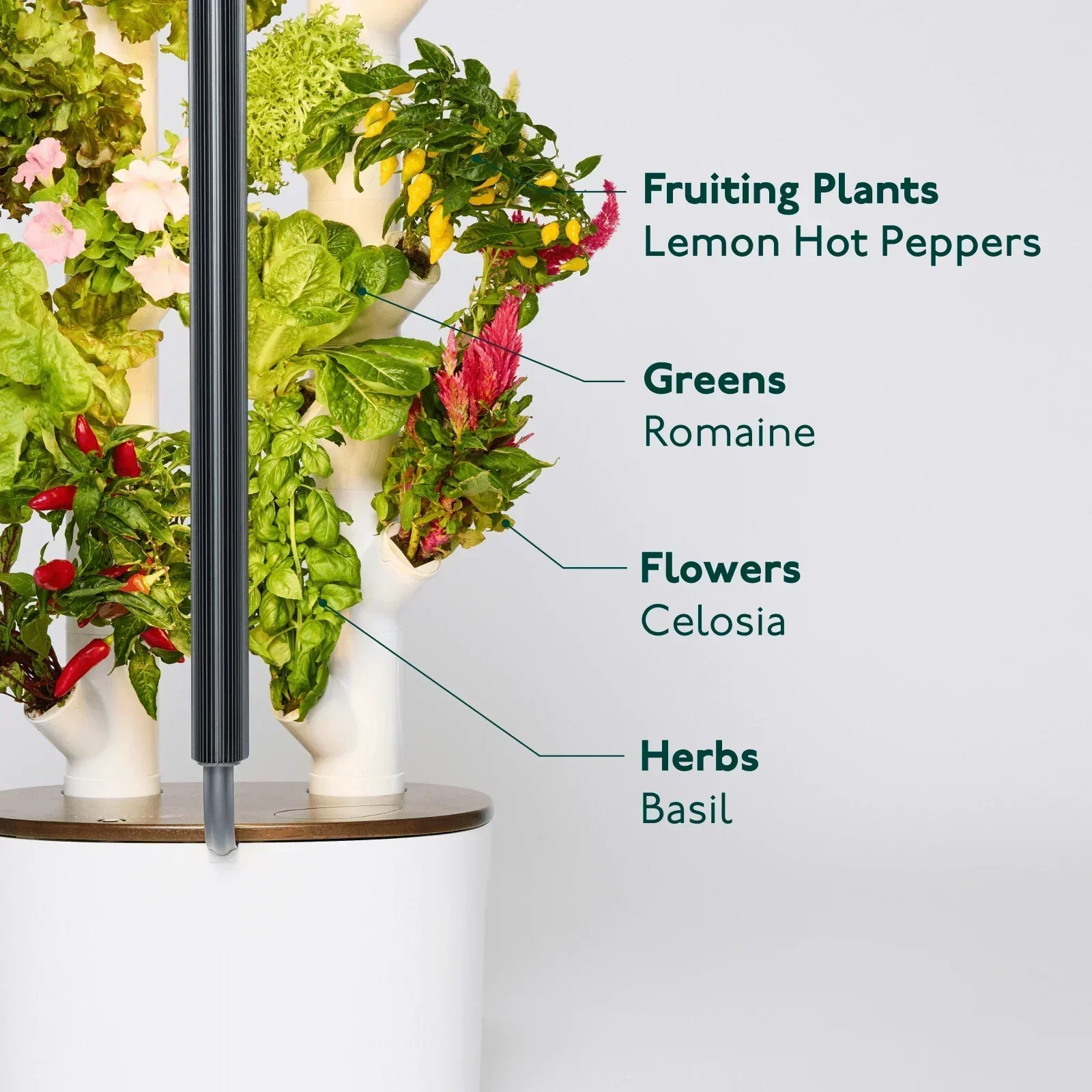 Floravie Studio + free 16-Plant Starter Set