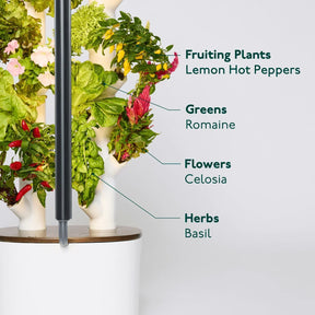 Floravie Studio + free 16-Plant Starter Set