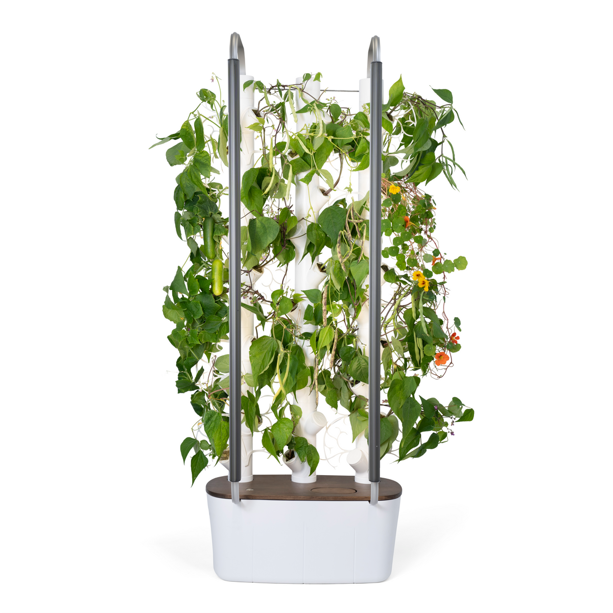 Floravie Trellis