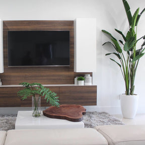 2.7 m tall Bird of Paradise with Ben planter in brilliant white