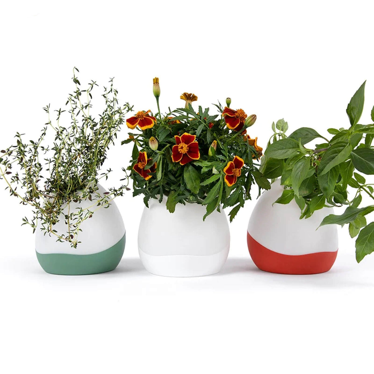 Floravie vase