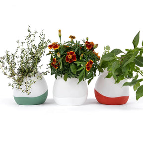 Floravie vase