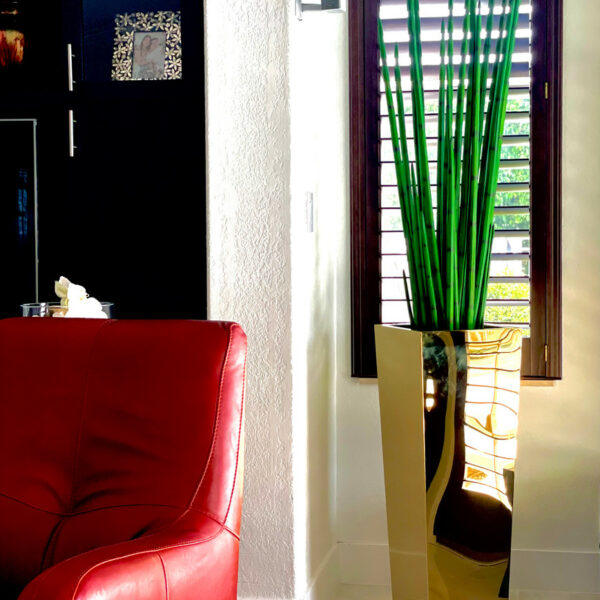 Golden cube vase with snake grass