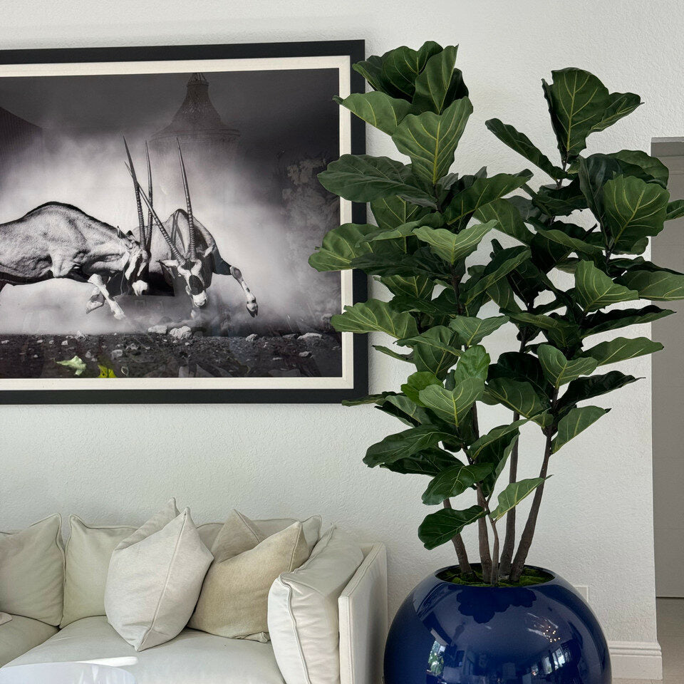 30 inch blue ball vase with fiddle leaf