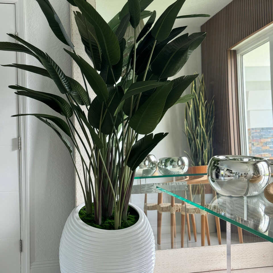 Bird of paradise in a white spiral vase