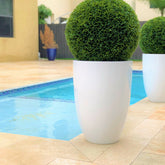 Ben L 20" Fiberglass Topiary