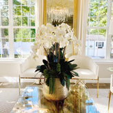 Delaney gold vase with multiple stems of Phalaenopsis orchids and succulents