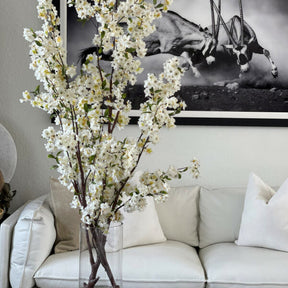 Cherry blossoms in a 16-inch glass cylinder