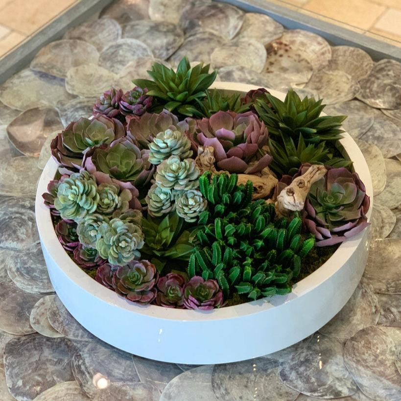 Max bowl with various artificial succulents