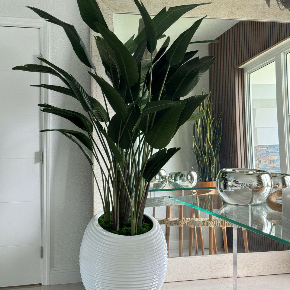 Bird of paradise in a white spiral vase