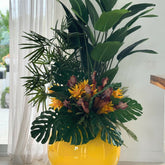 Tropical plant mix in a yellow spherical pot