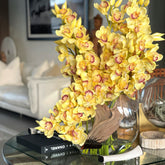 Yellow cymbidiums in a moon vase