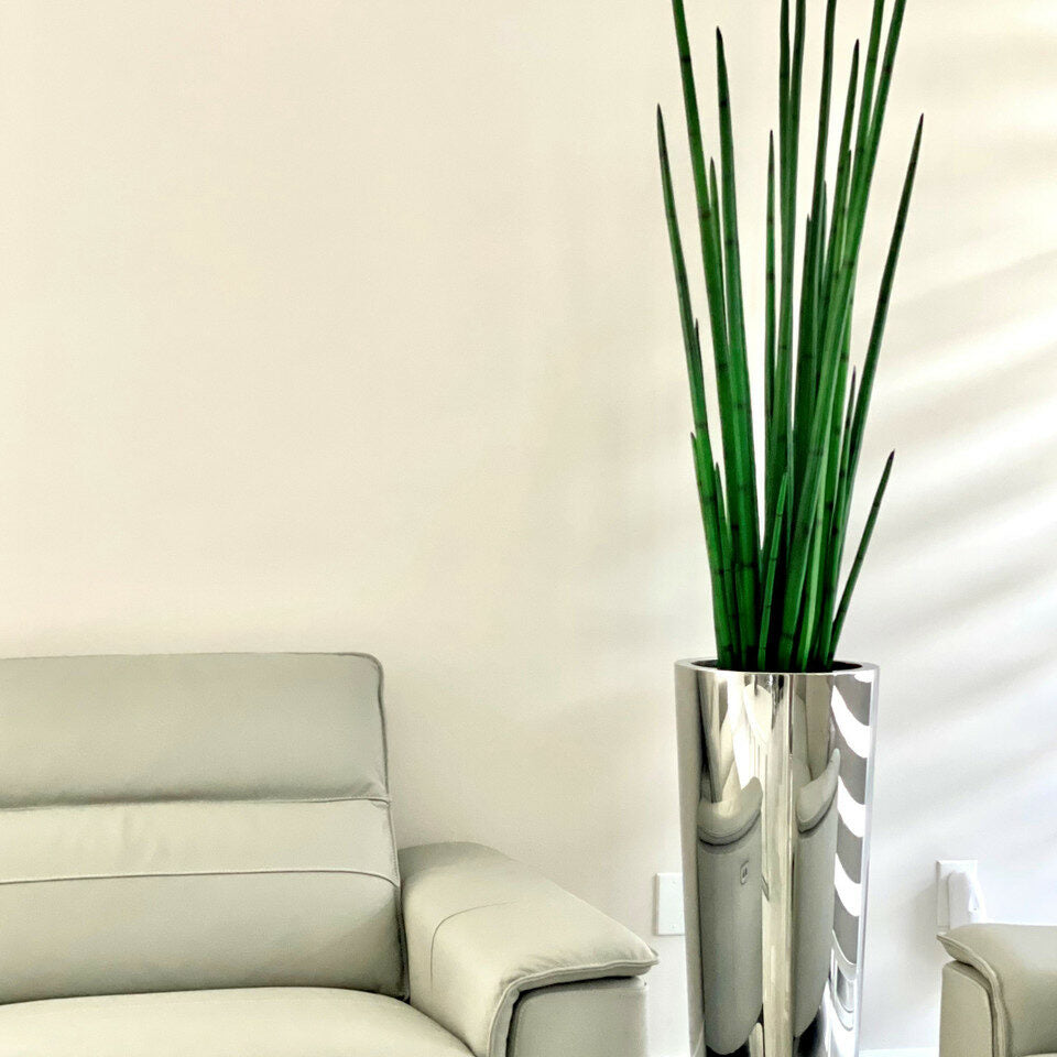 Large conical vase made of polished stainless steel with a large snake grass plant