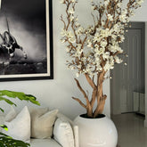 White magnolia in a 76 cm glossy white ball pot