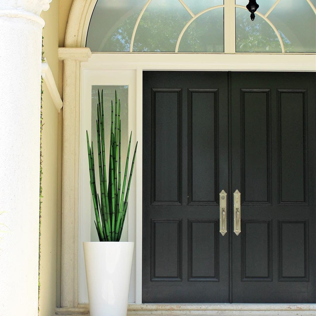 Snake grass (63″) with Belle M Planter