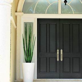 Snake grass (63″) with Belle M Planter