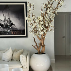 White Magnolia in 30″ glossy white ball pot