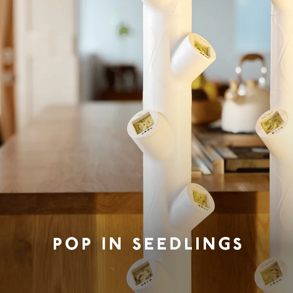 Floravie Studio + free 16-Plant Starter Set